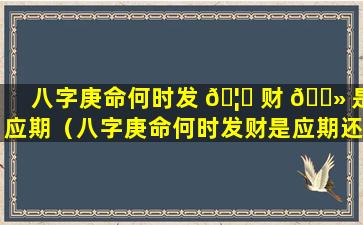 八字庚命何时发 🦊 财 🌻 是应期（八字庚命何时发财是应期还是应期）